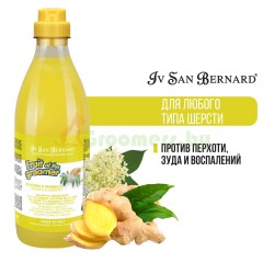 ISB Fruit of the Groomer Ginger&Elderbery Шампунь для любого типа шерсти про..