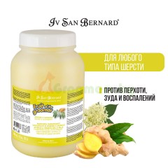 ISB Fruit of the Groomer Ginger&Elderbery Шампунь для любого типа шерсти про..