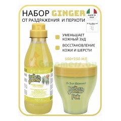 Набор шампунь для собак и Маска Iv San Bernard Ginger-Elderbery