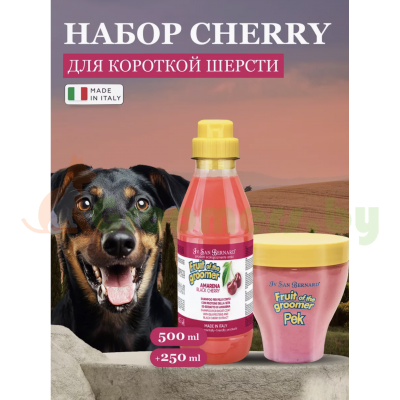 Набор Шампунь для собак и Маска Iv San Bernard Cherry