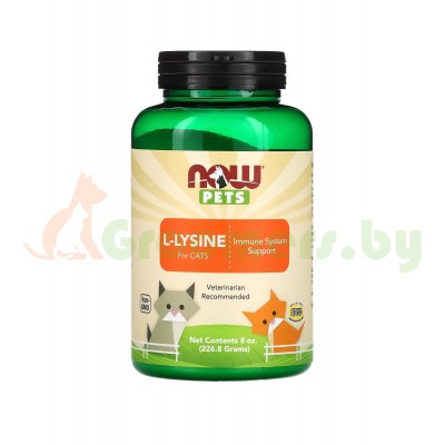 NOW Foods, Now Pets, L-лизин для кошек, 226,8 г 
